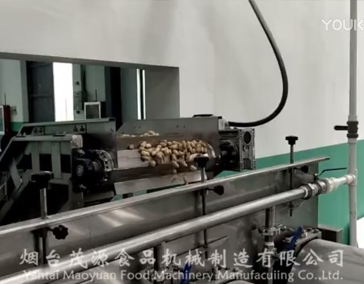 鹵味花生果生產(chǎn)線(xiàn)
